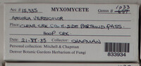 Image Associated With the Occurence